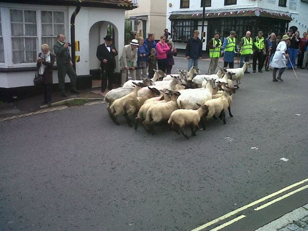 Overton Sheepfair 2024: Who's performing where?