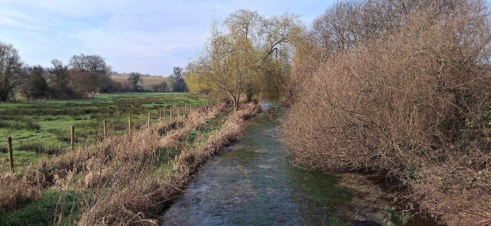 Council backs new rights for rivers in Basingstoke and Deane