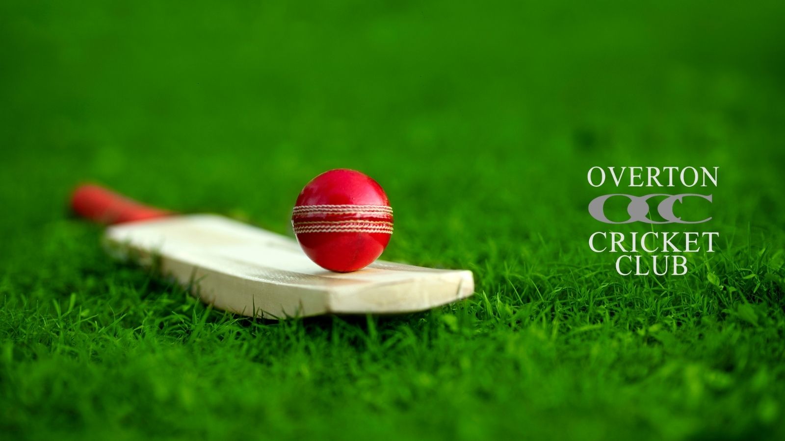 Overton Cricket Club to Host Annual Ladies Softball Cricket Festival